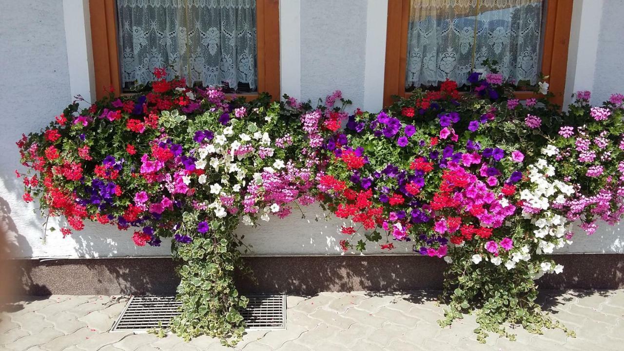 Haus Edlinger Inclusive Murau Sommer Gaeste Card Sankt Georgen ob Murau Esterno foto